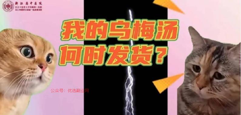 “乌梅汤2.0”一日爆…#情报-搞钱情报论坛-网创交流-优选副业网
